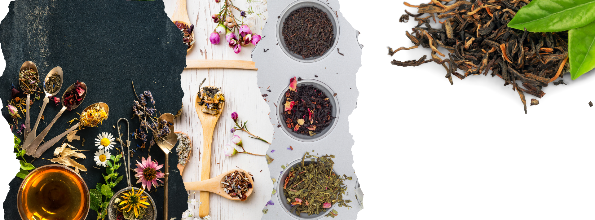 Family Friendly Tea Collection