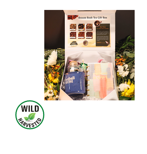 Broom Bush Tea Gift Box