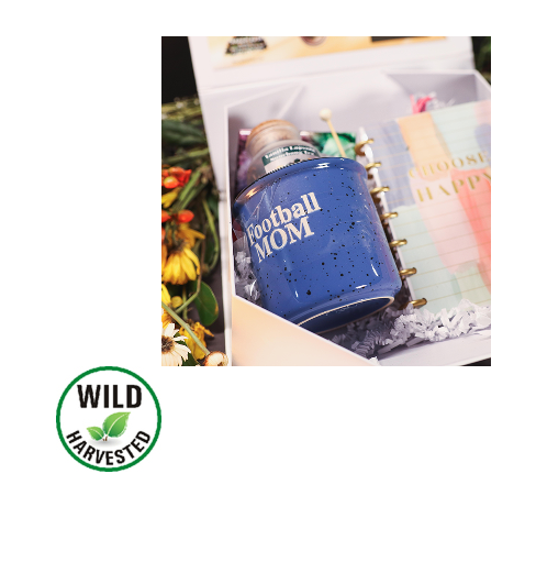 Broom Bush Tea Gift Box