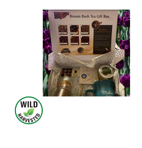 Broom Bush Tea Gift Box