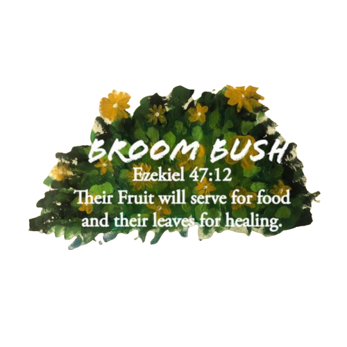 Broom Bush Tea
