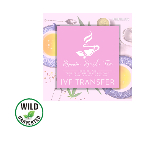 Lady Broom's IVF Transfer Tea