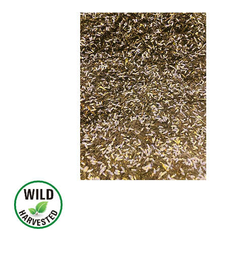 Lady Broom's Vanilla Lavender Tea