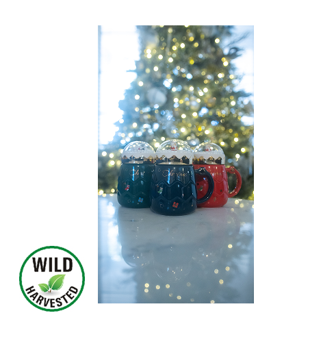 Snow Globe Holiday Mug