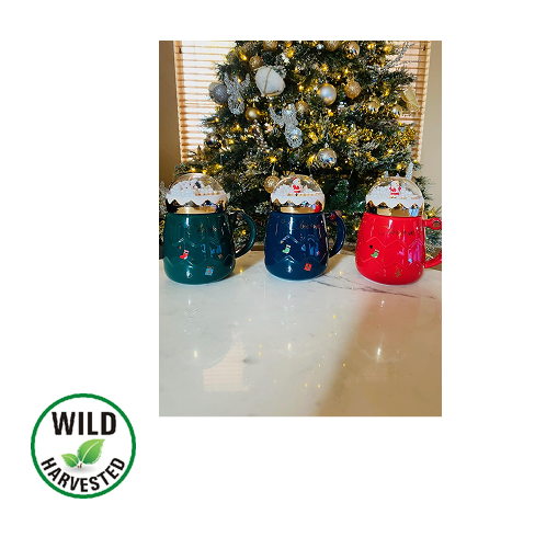 Snow Globe Holiday Mug