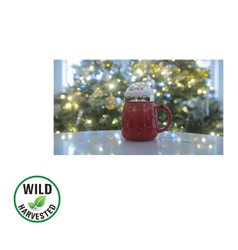 Snow Globe Holiday Mug