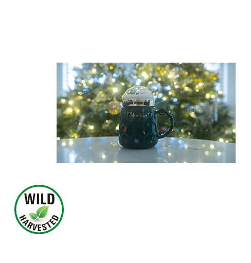 Snow Globe Holiday Mug