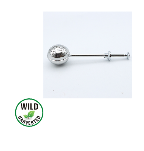 Tea Infuser
